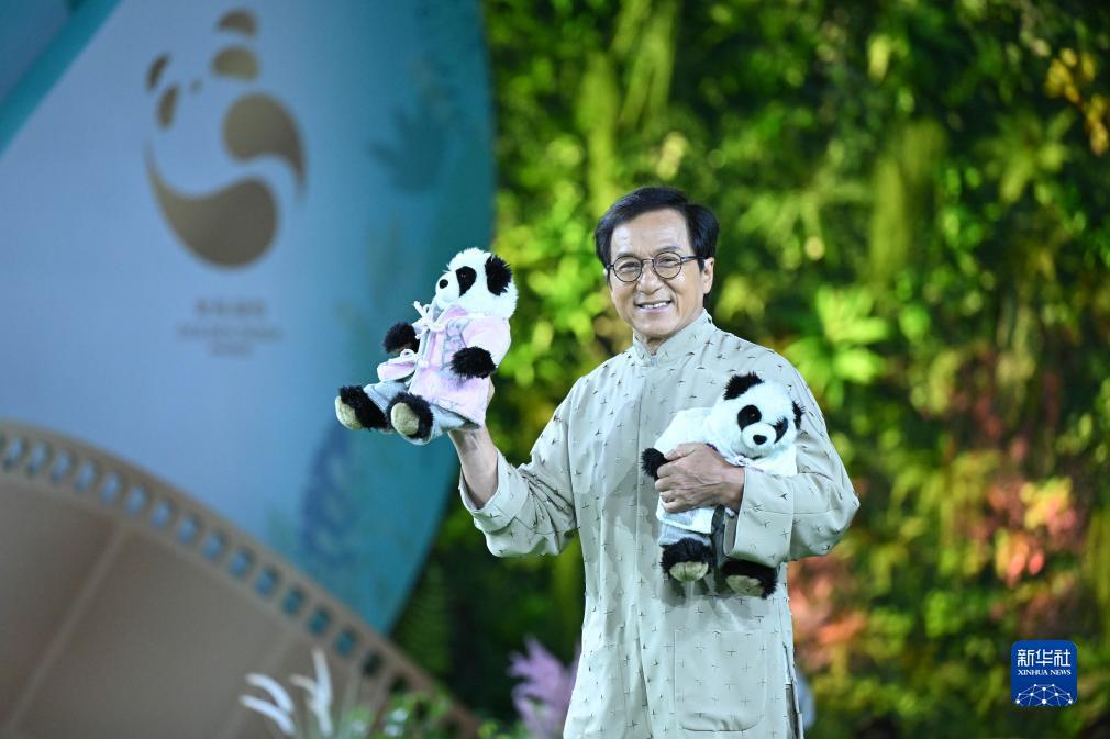 大红鹰网站